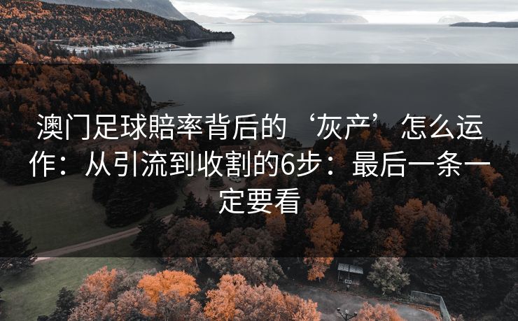 澳门足球賠率背后的‘灰产’怎么运作：从引流到收割的6步：最后一条一定要看