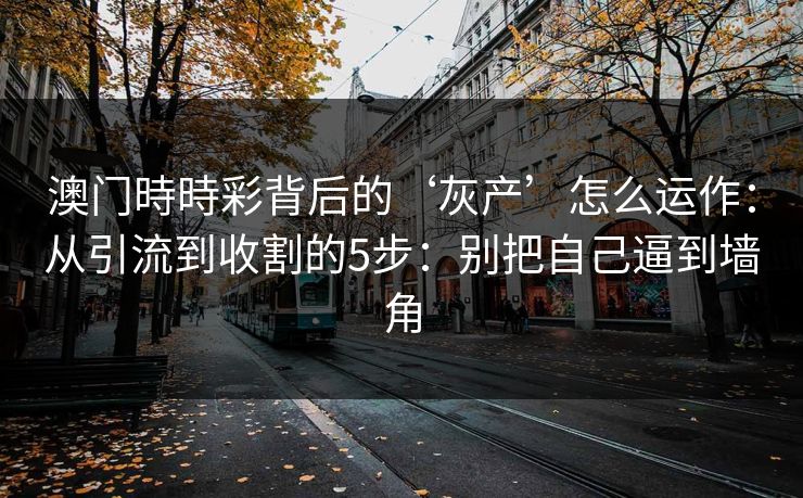 澳门時時彩背后的‘灰产’怎么运作：从引流到收割的5步：别把自己逼到墙角